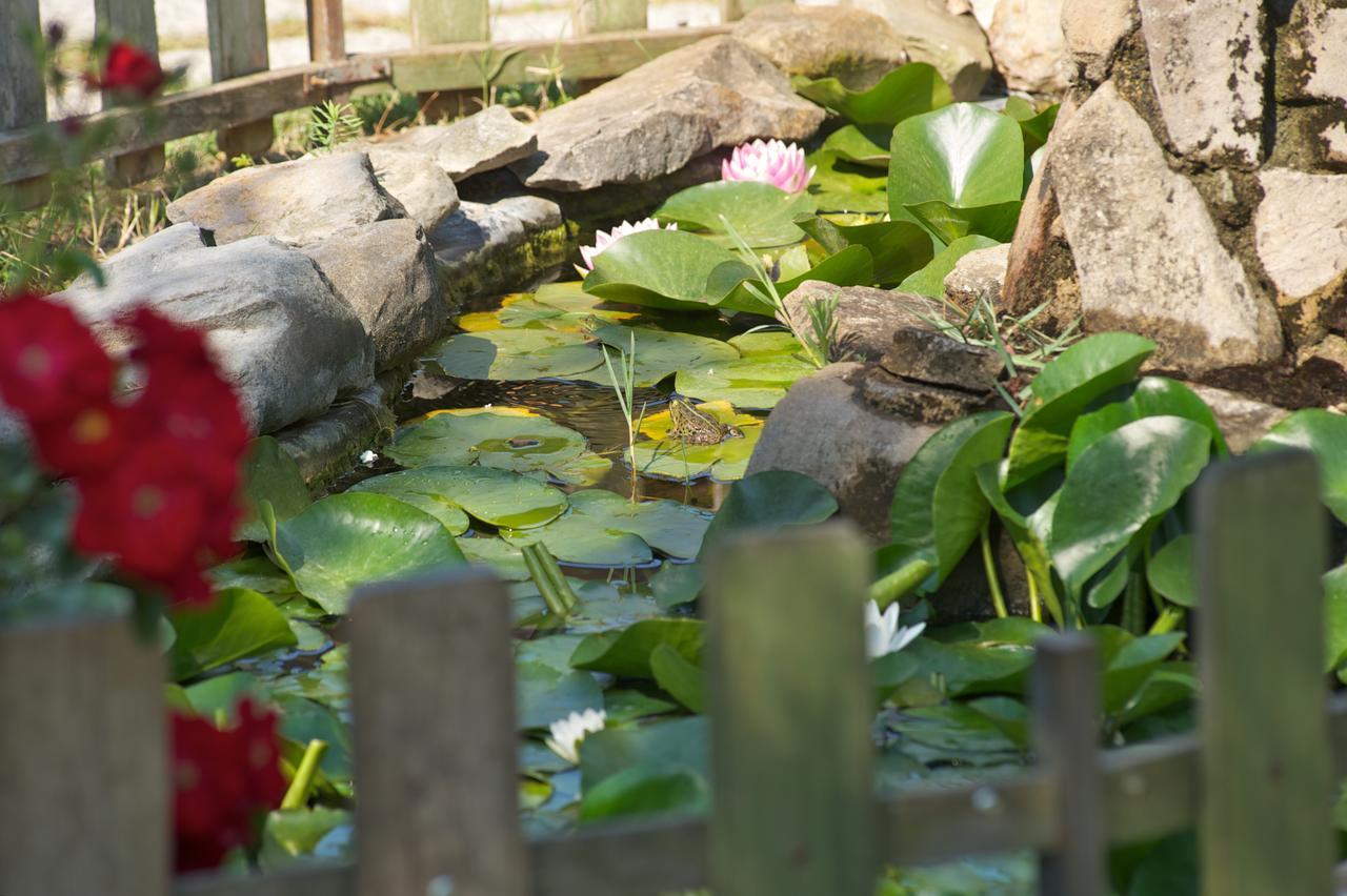 Villaggio Turistico Camping Il Fontino สการ์ลีโน ภายนอก รูปภาพ
